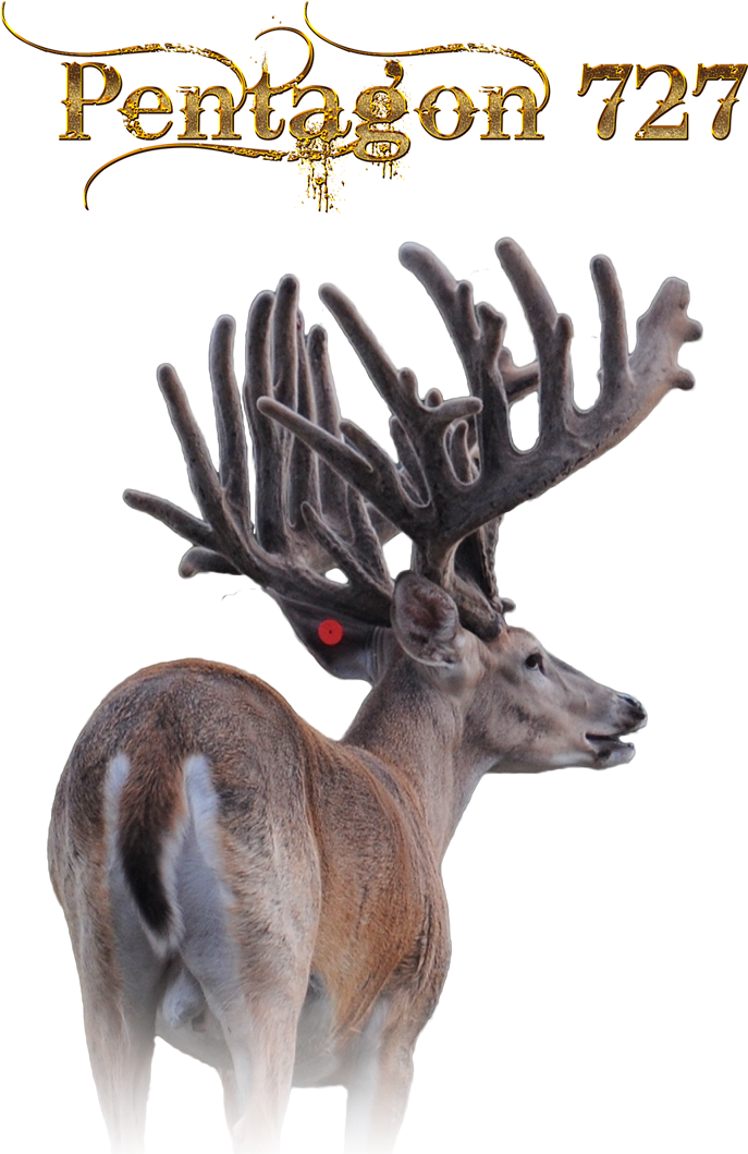 Elk (800x1080), Png Download