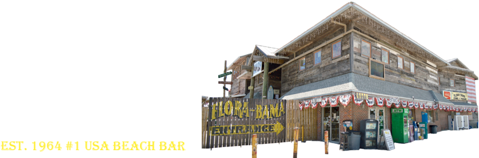 Happy Holidays Everyone Thank You For Ordering From - Snow (999x333), Png Download