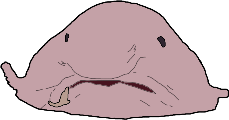 Exposed Reached 1000 Sales And 200 New Achievements (800x469), Png Download