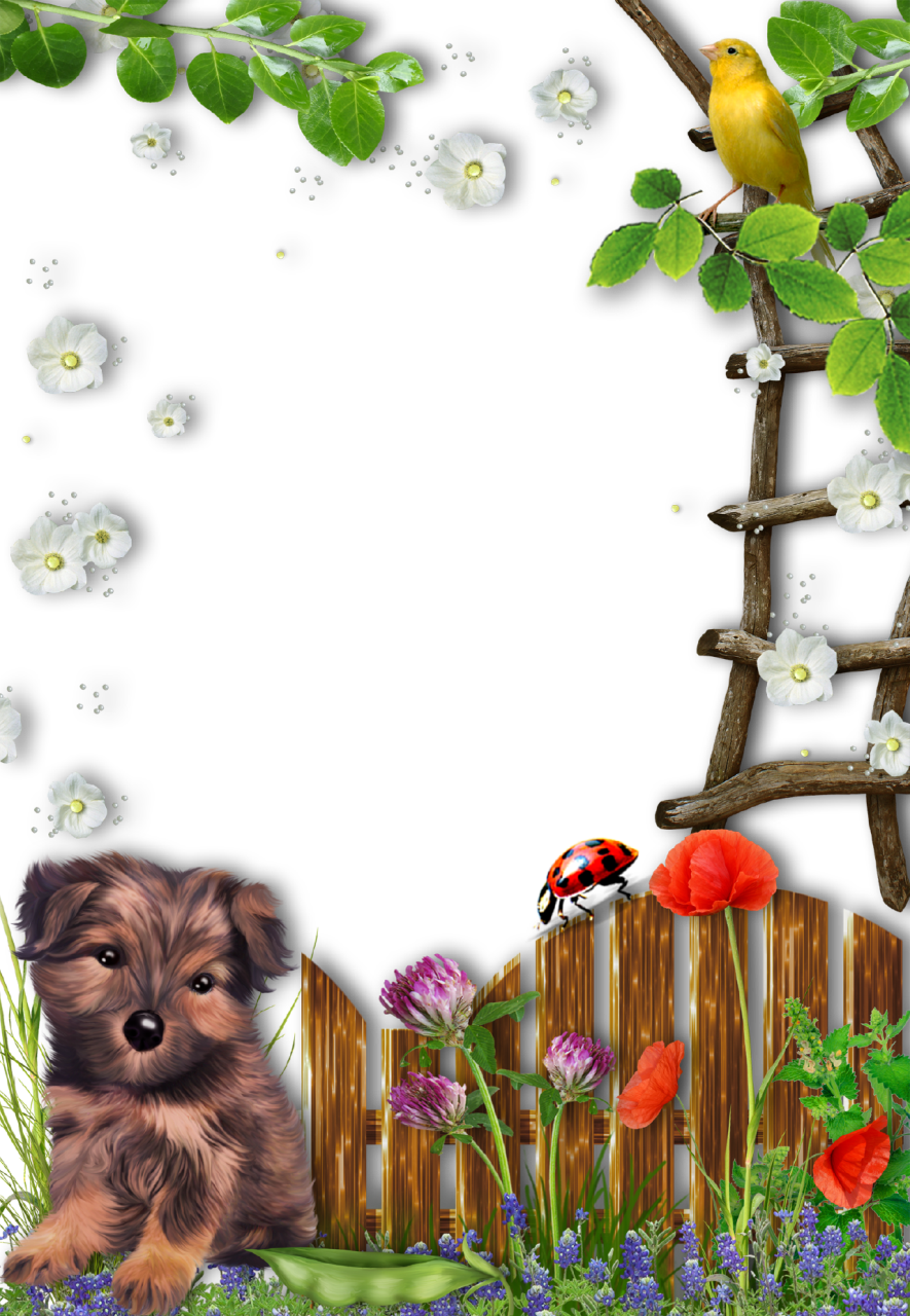 Download Frame For Photo Frame Transparent Dog Png Image With No Background Pngkey Com