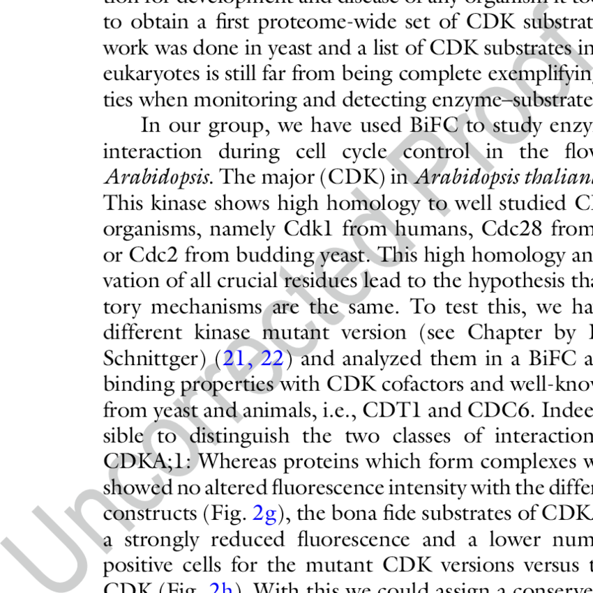 Infiltration Of Tobacco Leaves - Document (850x851), Png Download