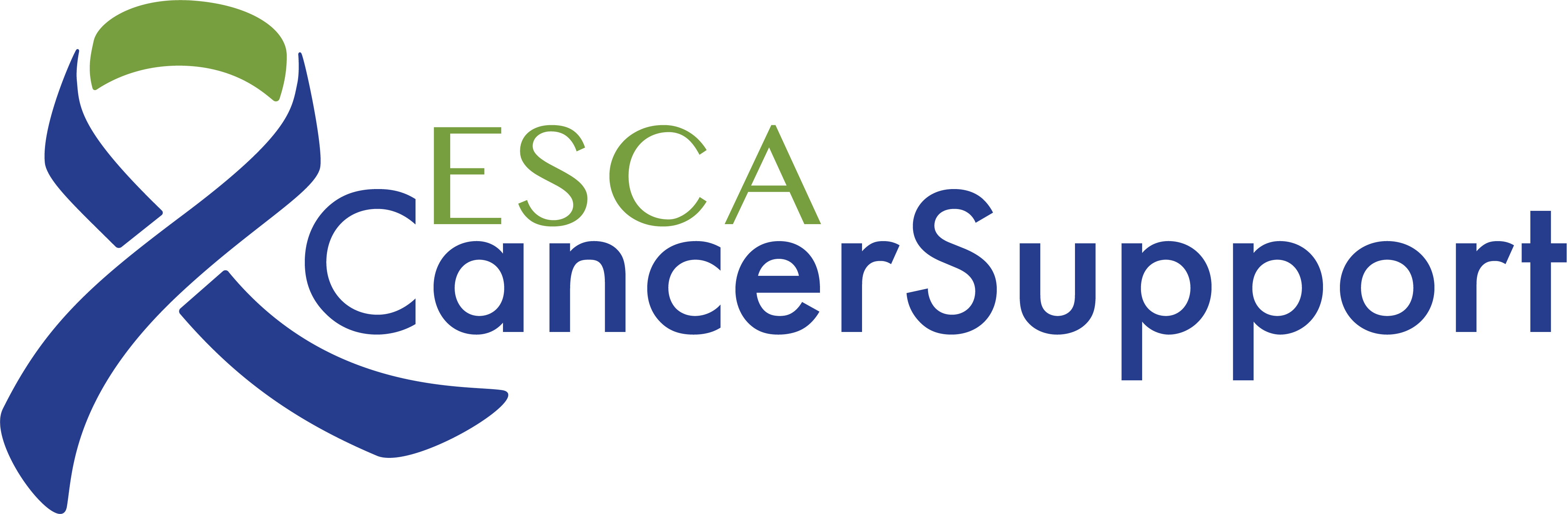 Esca English Speaking Cancer Association Esca English - Graphic Design (4249x1392), Png Download