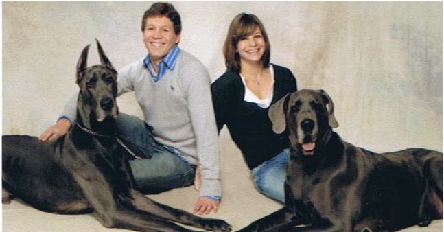 Great Dane (1144x337), Png Download