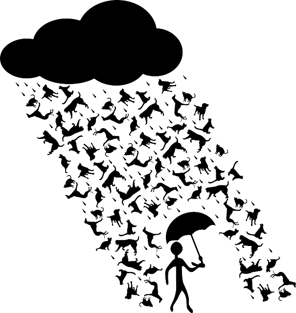 Spanish Proverb Teaching You To Grab Your Life By The - Raining Cats And Dogs Clipart (605x640), Png Download
