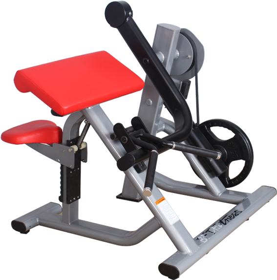 Bft5005 Biceps Curl Hammer Strength Machine - Plate Loaded Biceps Curl (600x600), Png Download