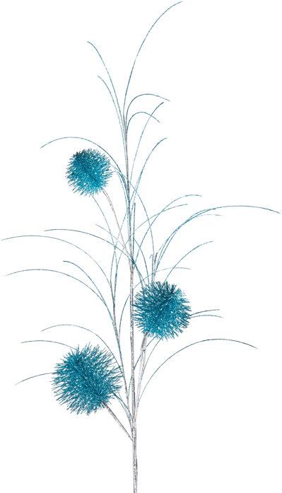 Branch With Bobble, Turquoise - Sketch (466x700), Png Download