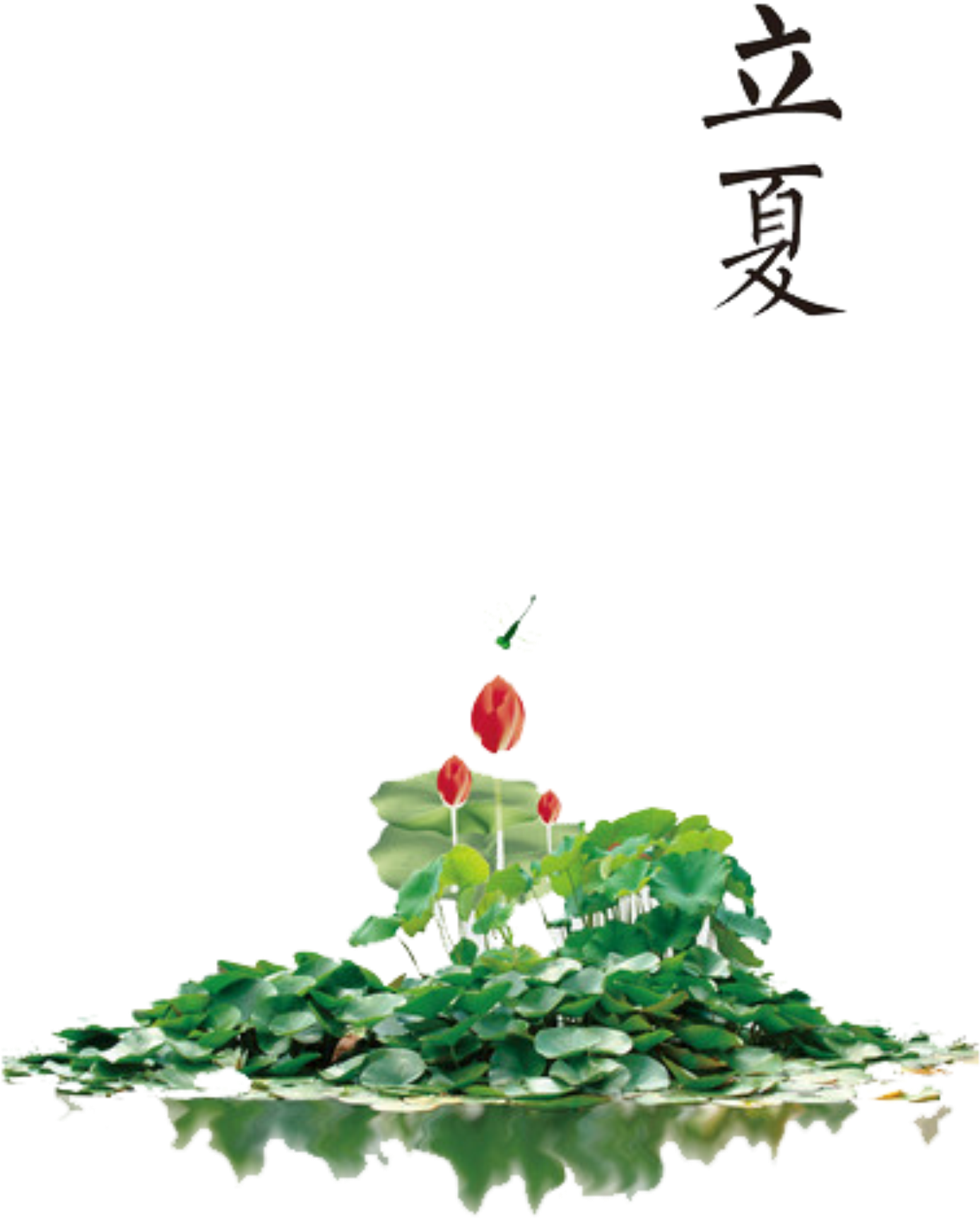 Fresh Forest Plants - Sacred Lotus (2200x2200), Png Download