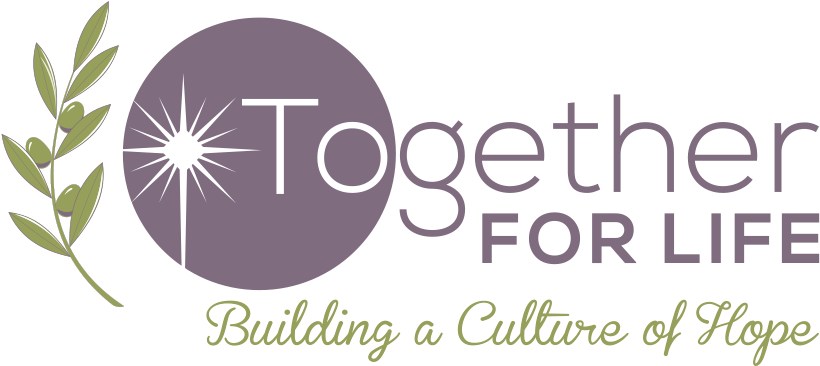 We Have Designed This New Logo To Recognize Our “guiding - Olive Branch (854x392), Png Download