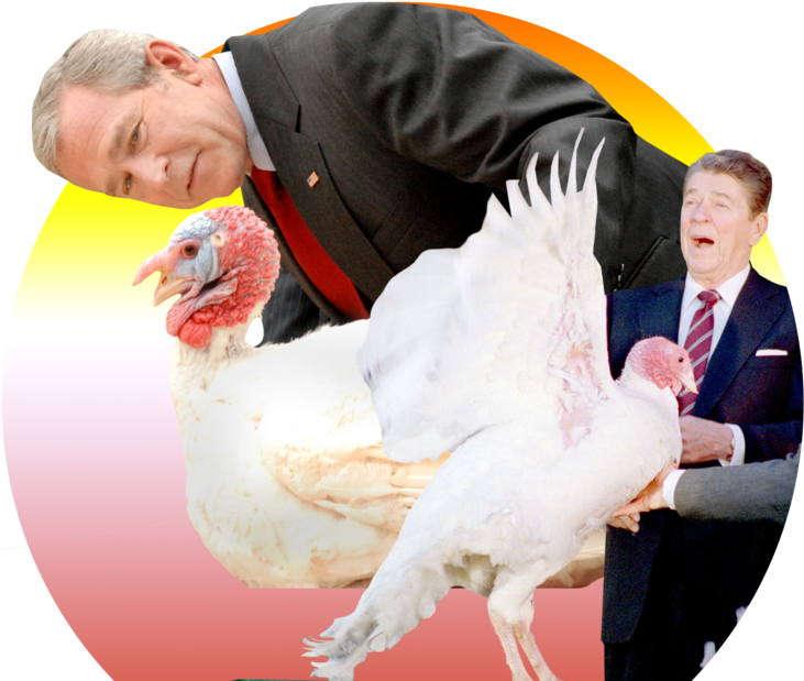 See The Latest News, Photos, And Videos About Bill - George W Bush Turkey (1120x630), Png Download
