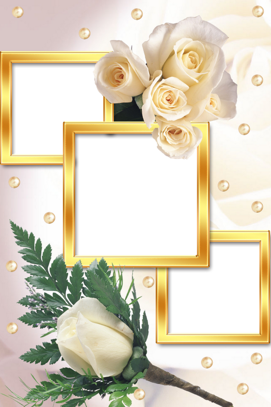 Pin By Fabio Urquiza On Marcos Para Fotos - Marco Para Bodas Png (533x800), Png Download