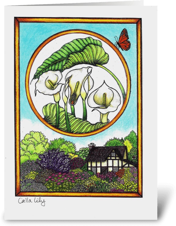 Calla Lily - Illustration (700x792), Png Download