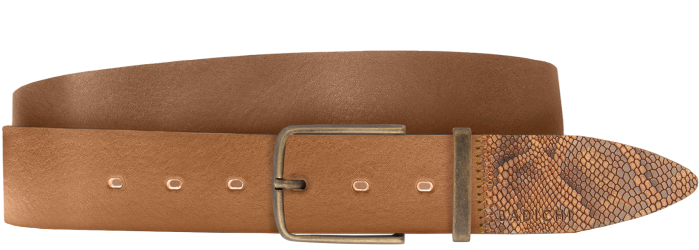 Buckle (700x495), Png Download