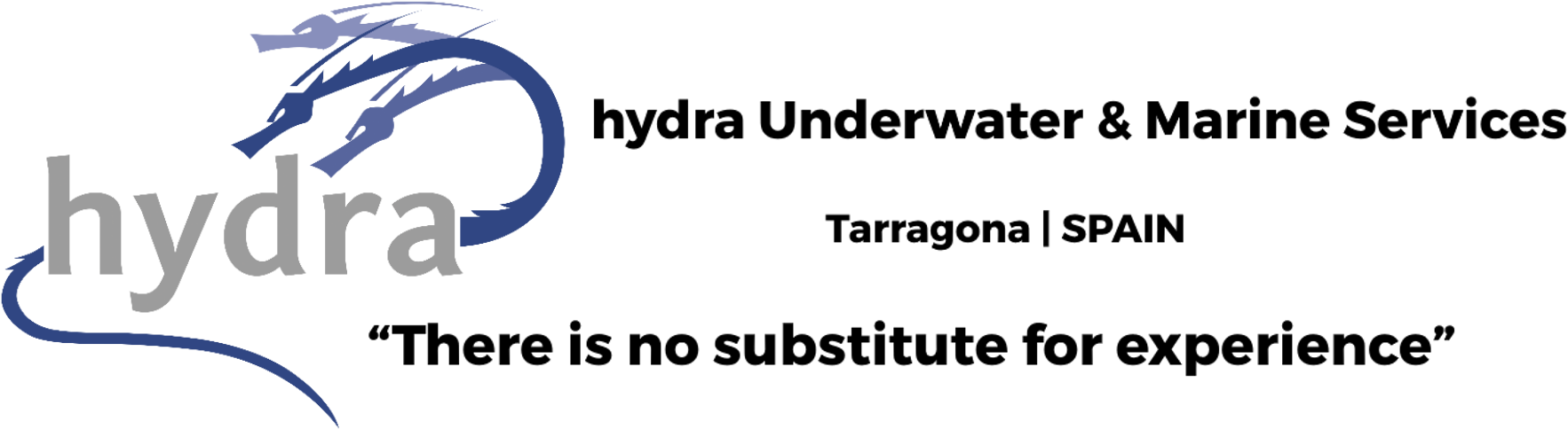 Homesceen Logo En003 - Hydra (1814x558), Png Download