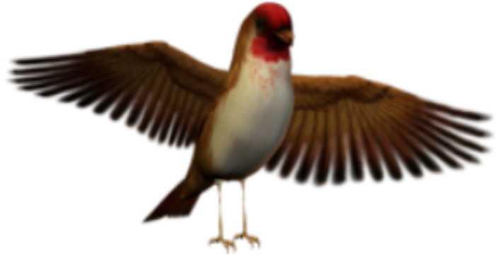 Bird Sticker - Seabird (1024x1024), Png Download