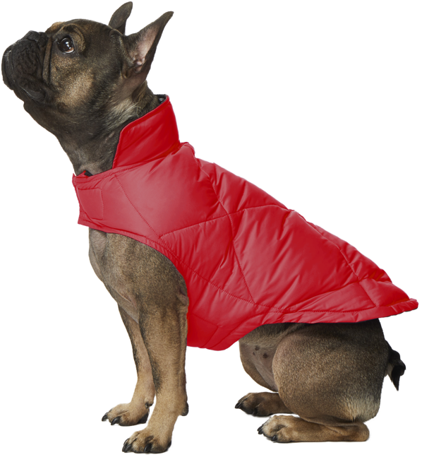 Rose Envy - 32 Degrees Dog Down Vest (1024x1024), Png Download