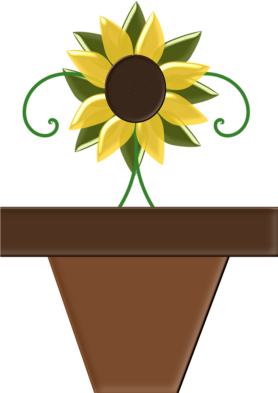 Sunflower,flower Vector Graphics,free - Clip Art (893x1280), Png Download