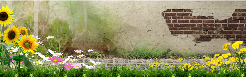 Fresh And Simple Wall Advertising Poster - Sunflower (1024x1024), Png Download