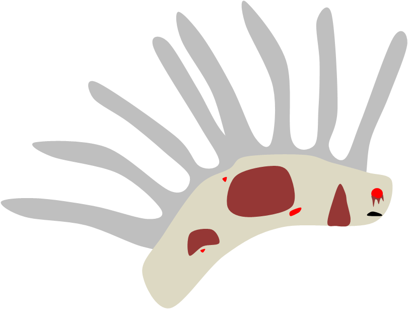 Tboif Spine Worm - Illustration (810x613), Png Download