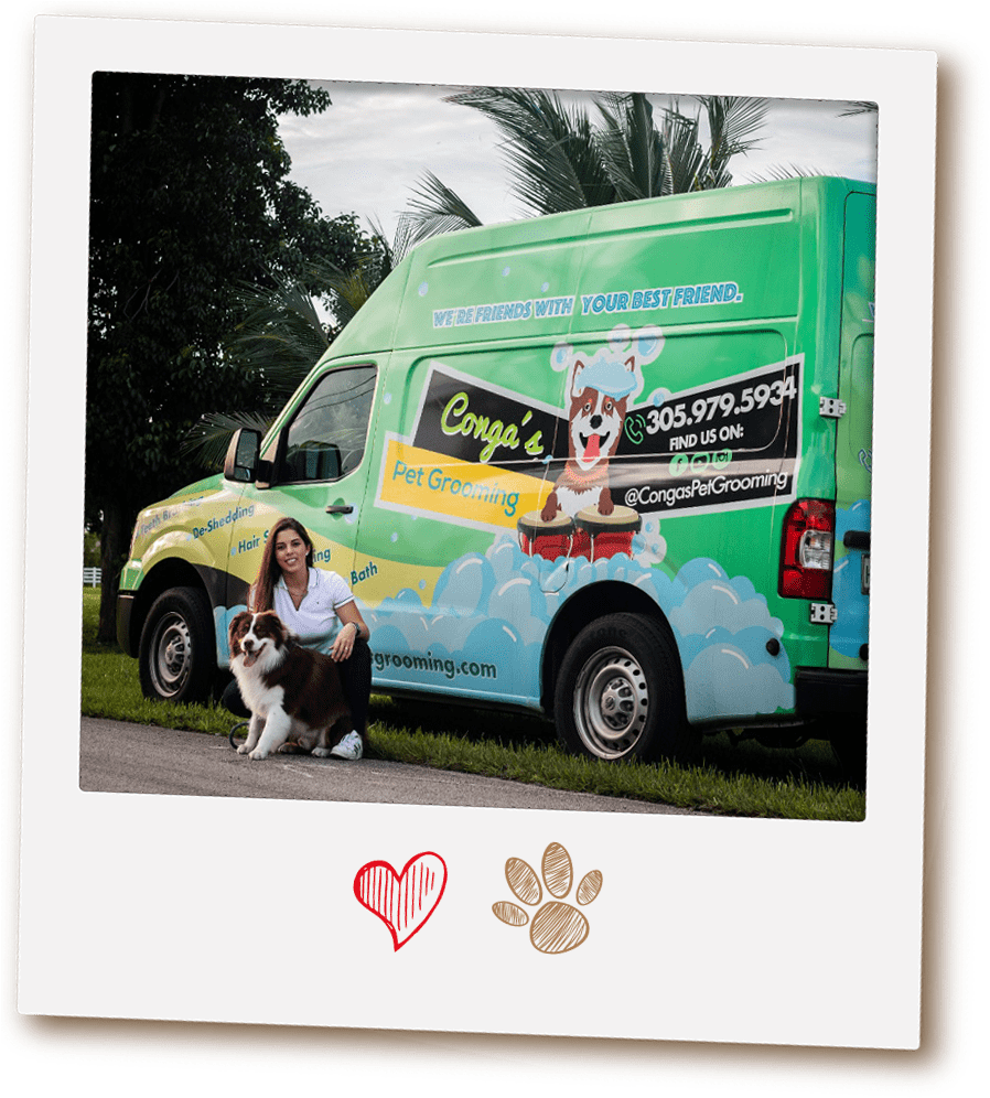 Why Conga's Mobile Pet Grooming - Banner (906x1000), Png Download