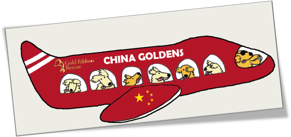 Donate Now - Warlord Of Mars Risque Cover (942x499), Png Download