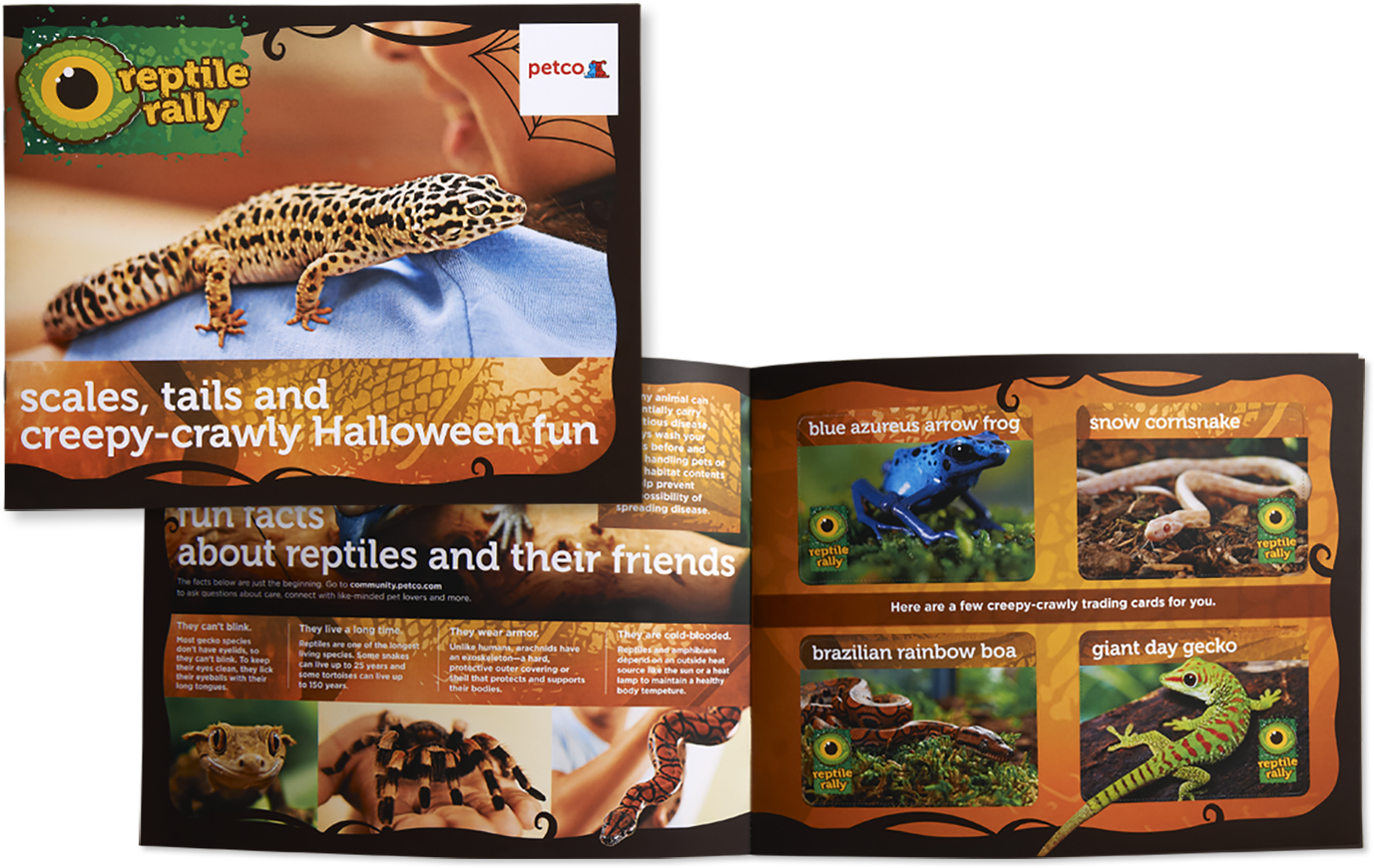 ↑back To Top - Gecko (1400x903), Png Download