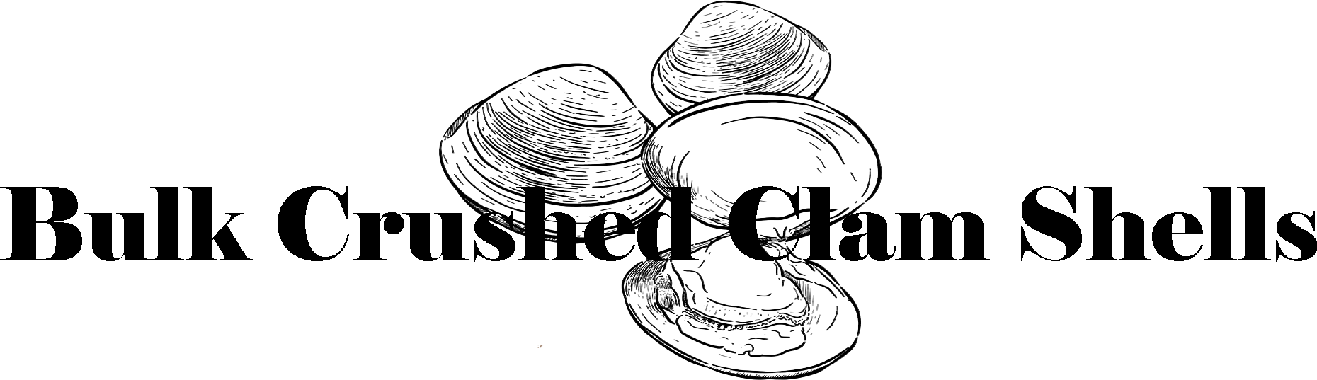 Bulk Crushed Clam Shells - Line Art (1860x537), Png Download