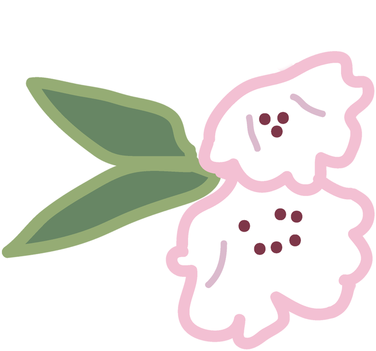 Eva Marie Lock-lorenzen Camera - Illustration (776x800), Png Download