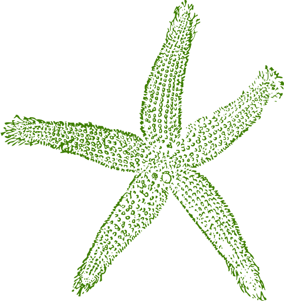 Starfish Clipart Png - Fish Clip Art (564x599), Png Download
