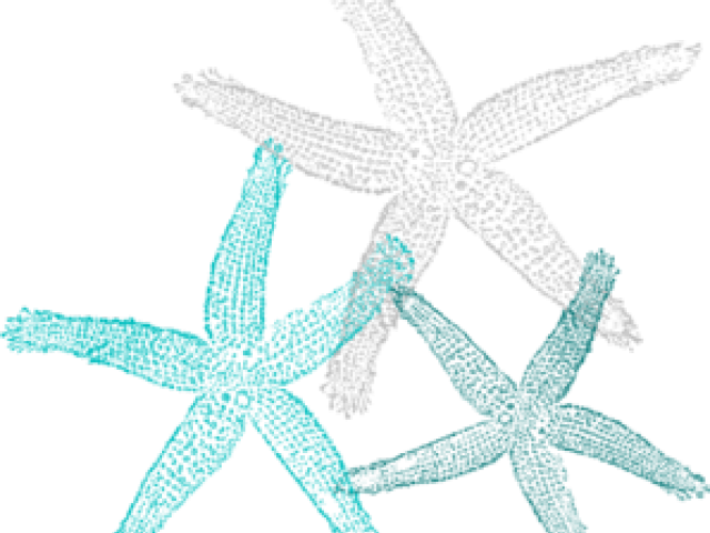 Fish Clip Art (640x480), Png Download