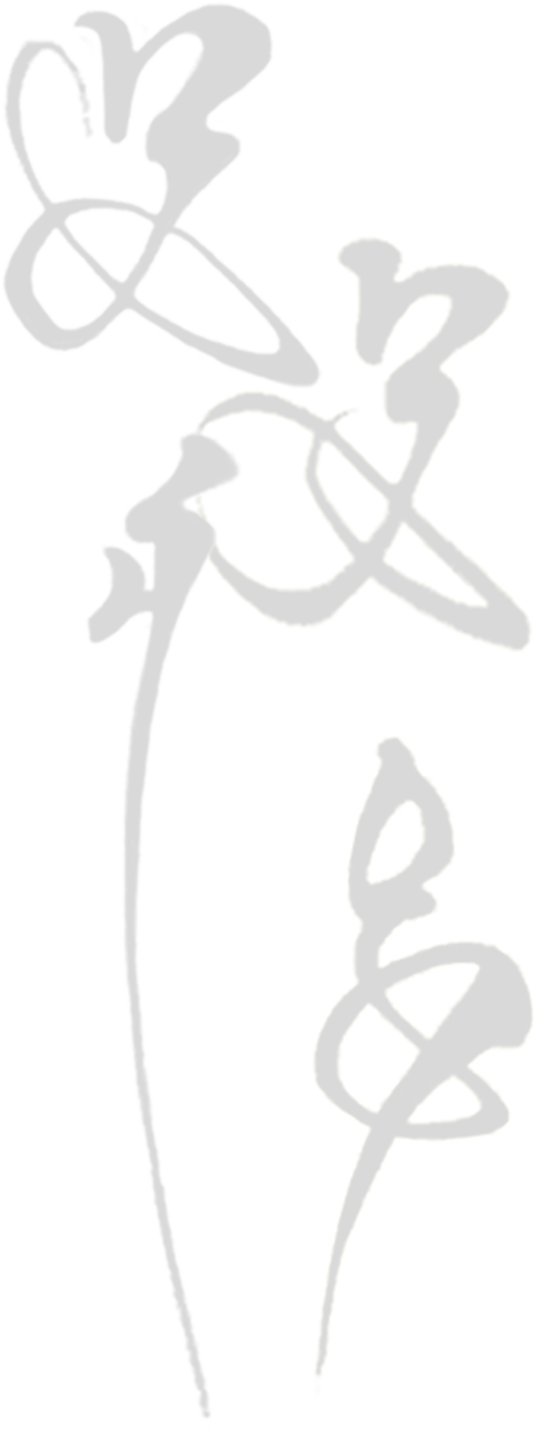 Geotourism - Illustration (816x2264), Png Download