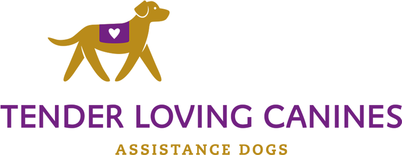 Tender Loving Canines Assistance Dogs - Illustration (960x640), Png Download