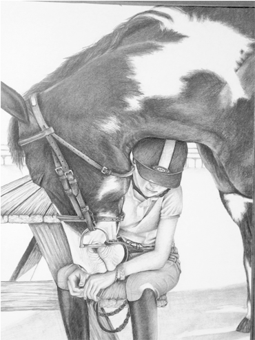 Horse - Mare (800x500), Png Download