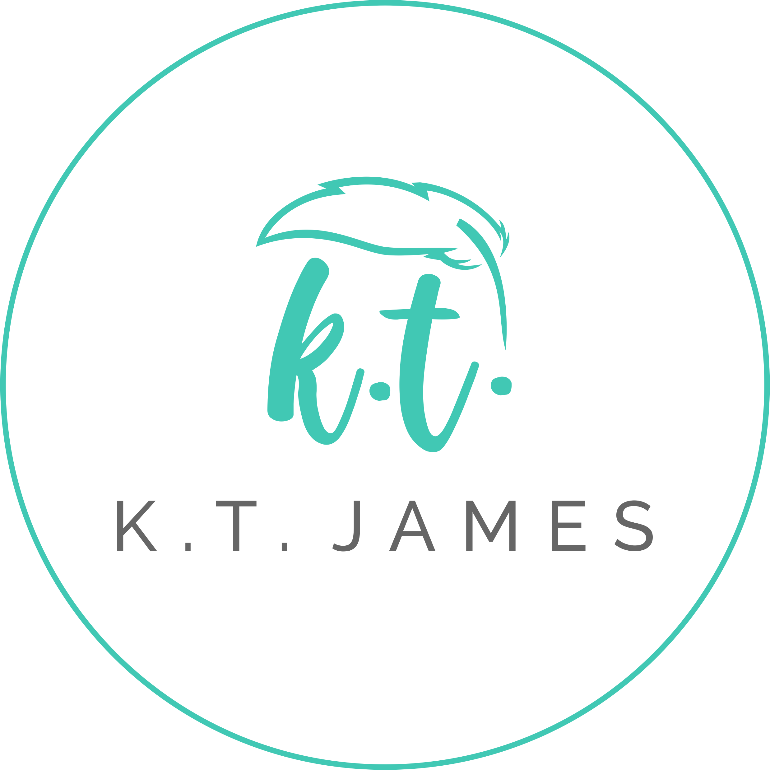 K - T - James - Circle (2476x2475), Png Download