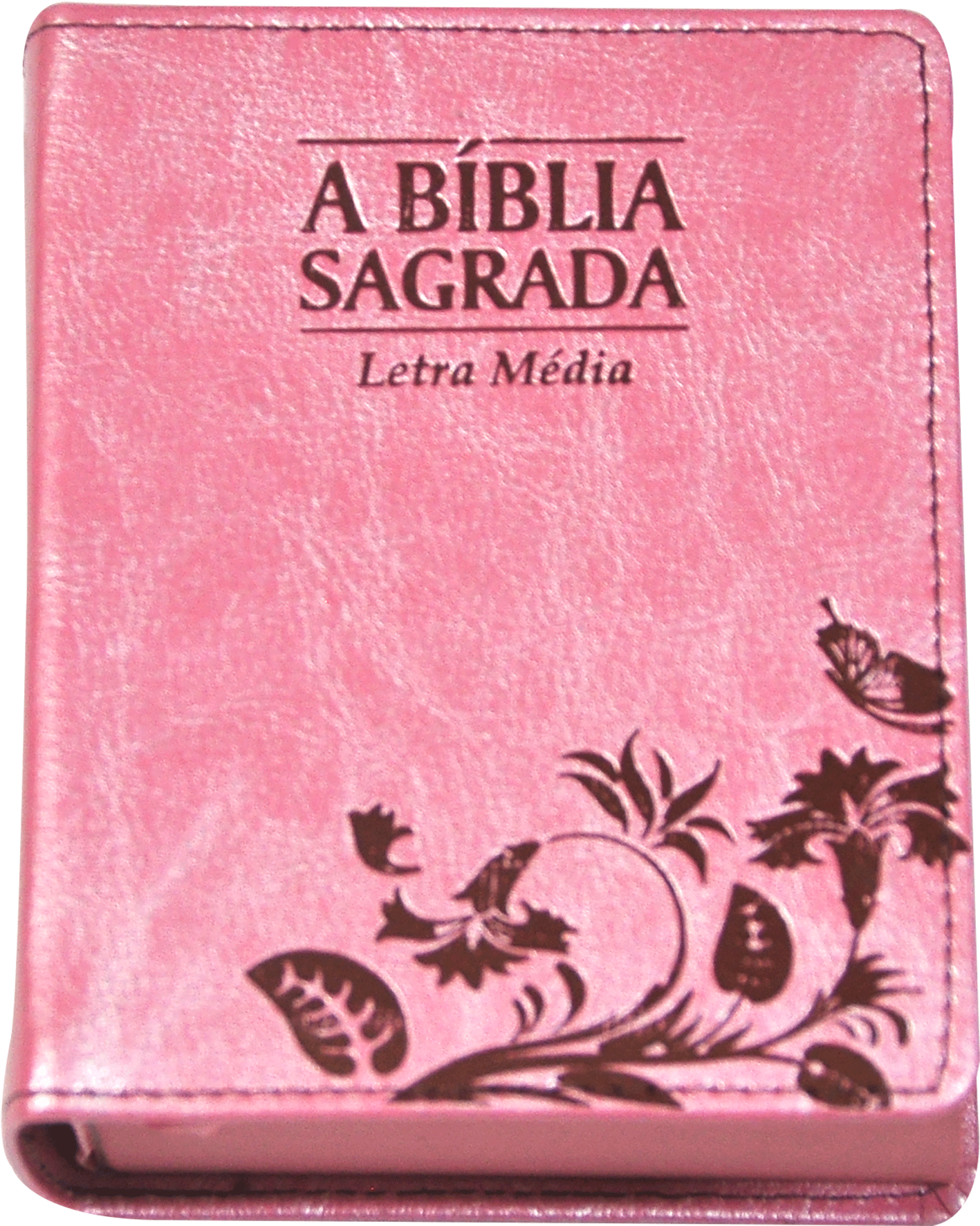 Bíblia Sagrada Almeida Corrigida Fiel Formato Pequeno - Topo De Bolo Evangelico Para Imprimir (1640x1929), Png Download