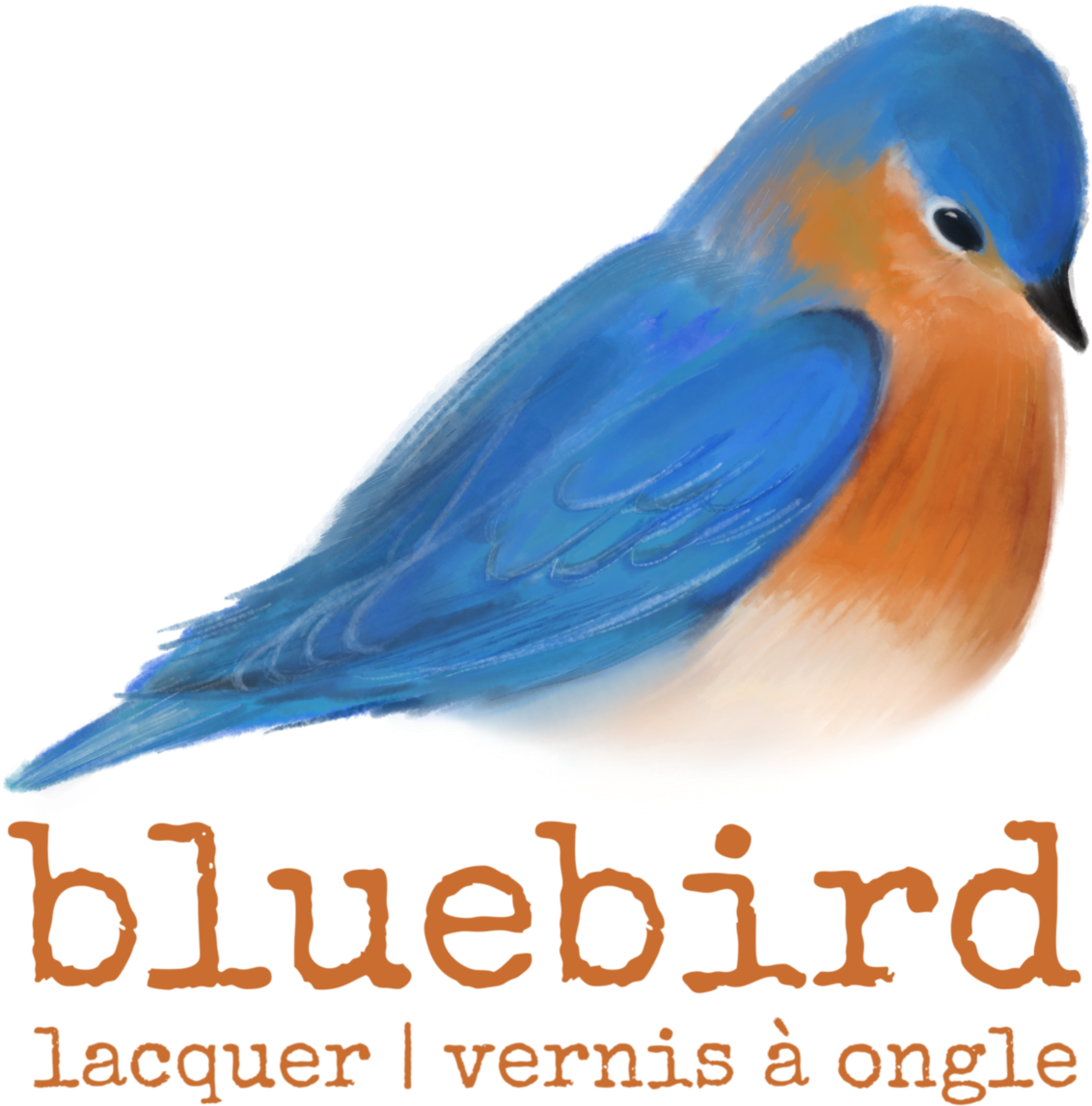 Eastern Bluebird (1200x1200), Png Download
