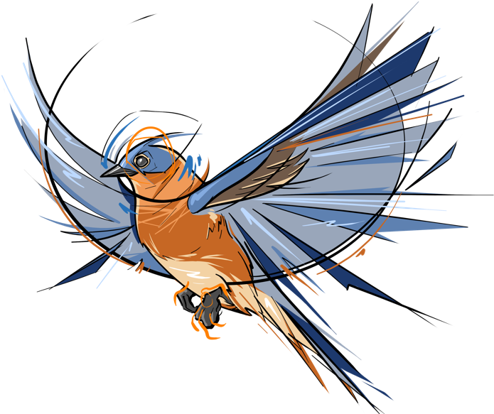 Bluebird - Cartoon (800x600), Png Download