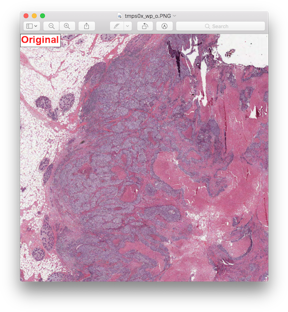 Cropped Original - Visual Arts (600x646), Png Download