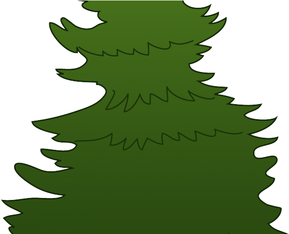 Pine Tree Clipart Baby - Transparent Pine Tree Clip Art (640x480), Png Download
