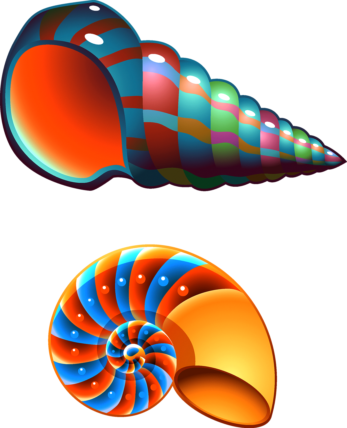 Seashell Conch Mollusc Shell Clip Art - Cute Seashell Clip Art (1200x1481), Png Download