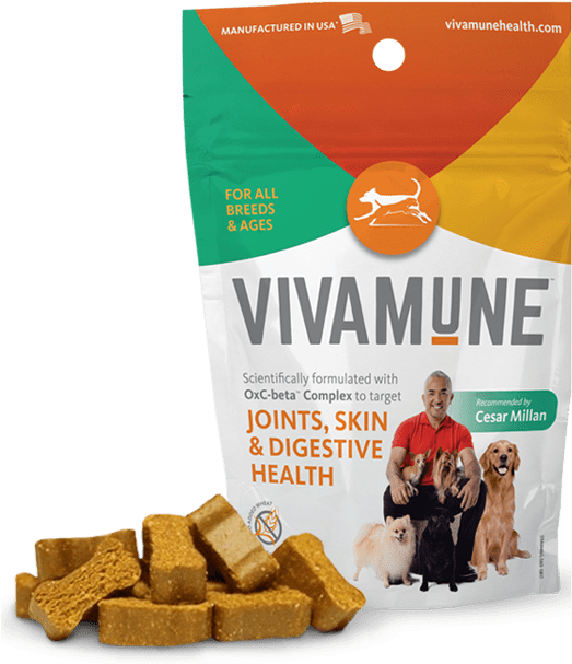 They Will Do Anything To Get A Tasty Chew - Health (530x613), Png Download