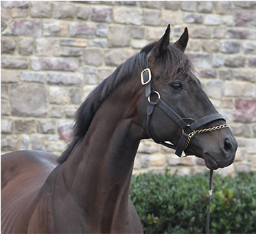 Calendar Of Events & Reminders - Girl (1000x370), Png Download