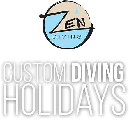 Zen Diving Tulum - Graphic Design (557x728), Png Download
