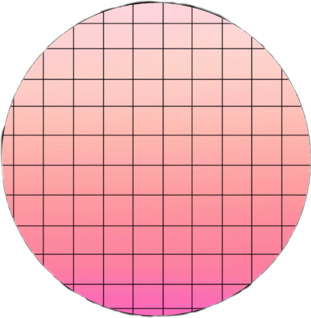 Circle Pink Square Grid Ombre White Boarder Boarders - Animal Classification Worksheet (1024x1048), Png Download