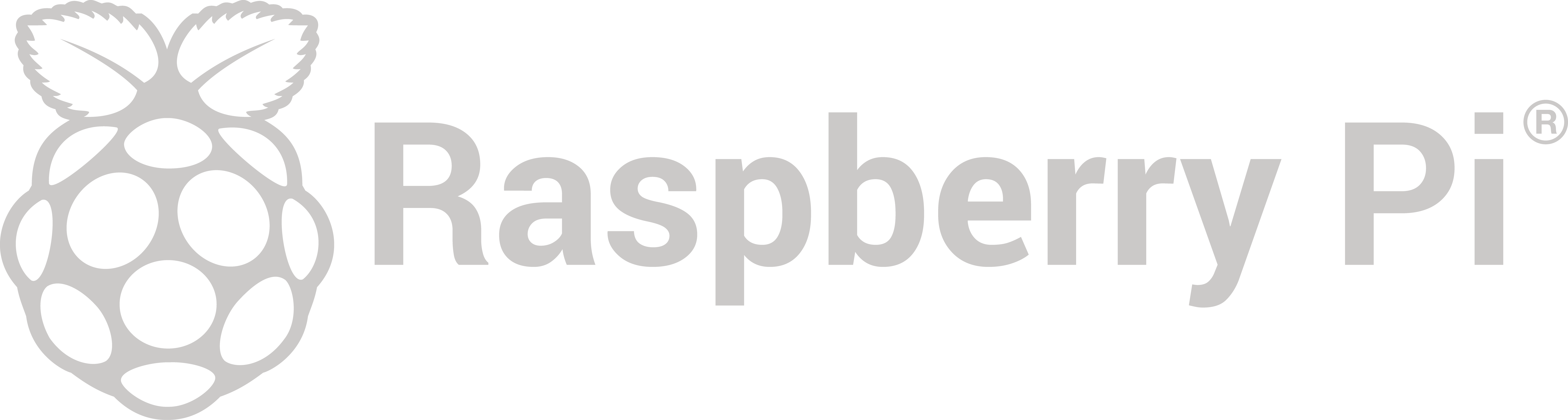 Rpi Logo Grey Landscape Reg Print - Raspberry Pi Python Logo (9627x2581), Png Download