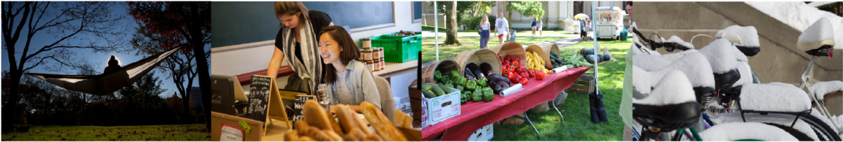 Home Page Graphic - Natural Foods (1200x305), Png Download