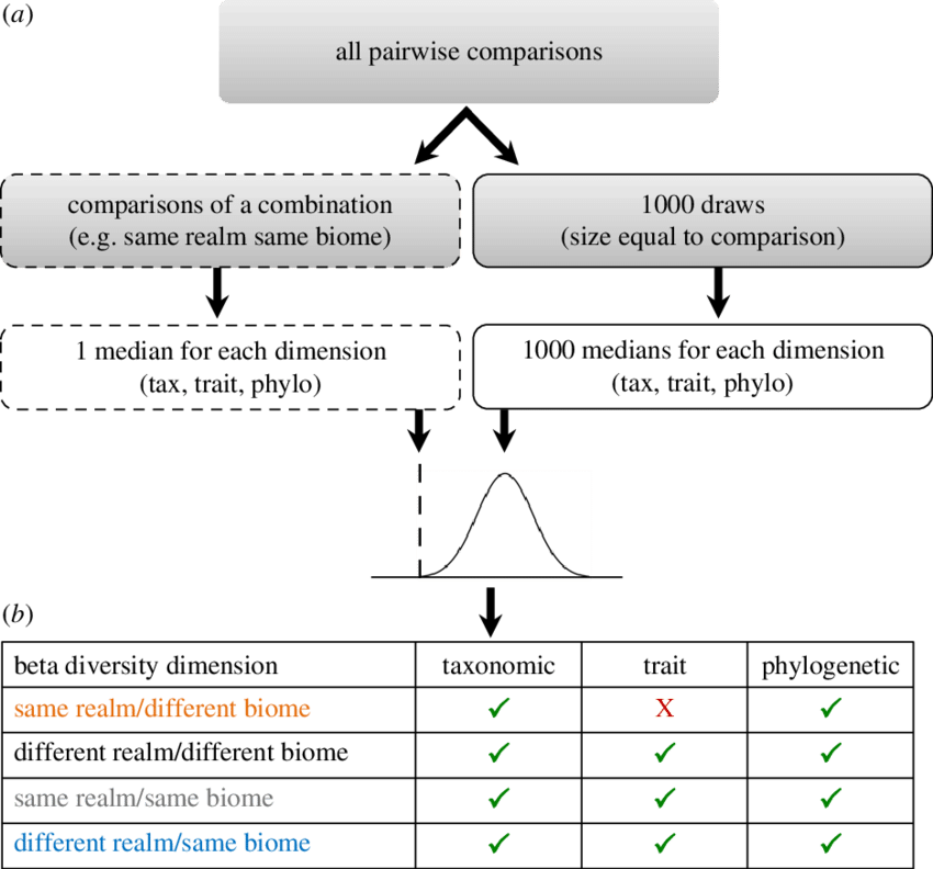 Randomization Test To Compare Beta Diversity Of Each - Diagram (850x792), Png Download