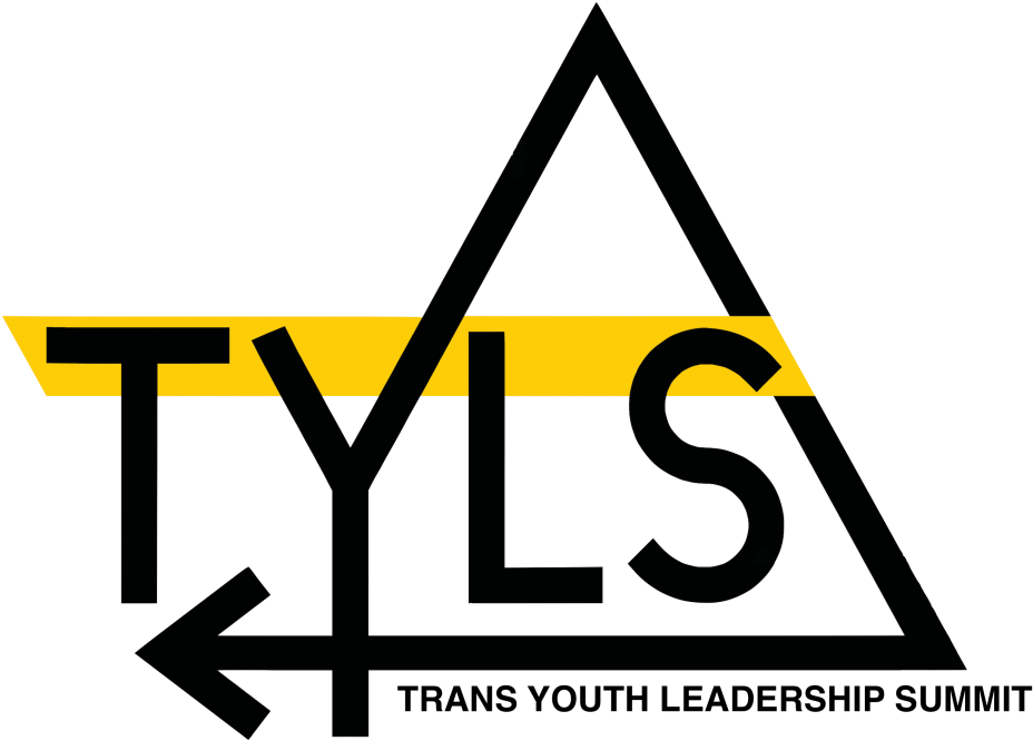 Trans Youth Leadership Summit Is A Collaborative Fellowship - Tyls (1024x732), Png Download
