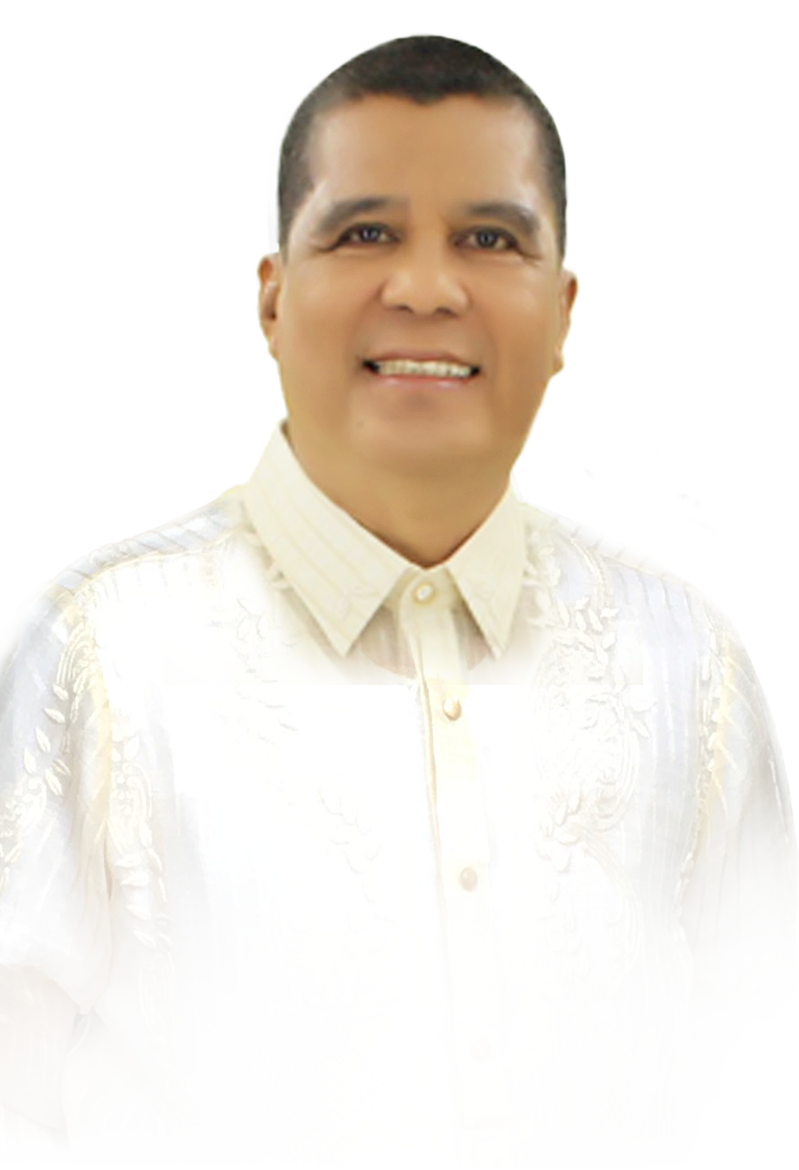 The City Mayor's Profile (2771x4060), Png Download