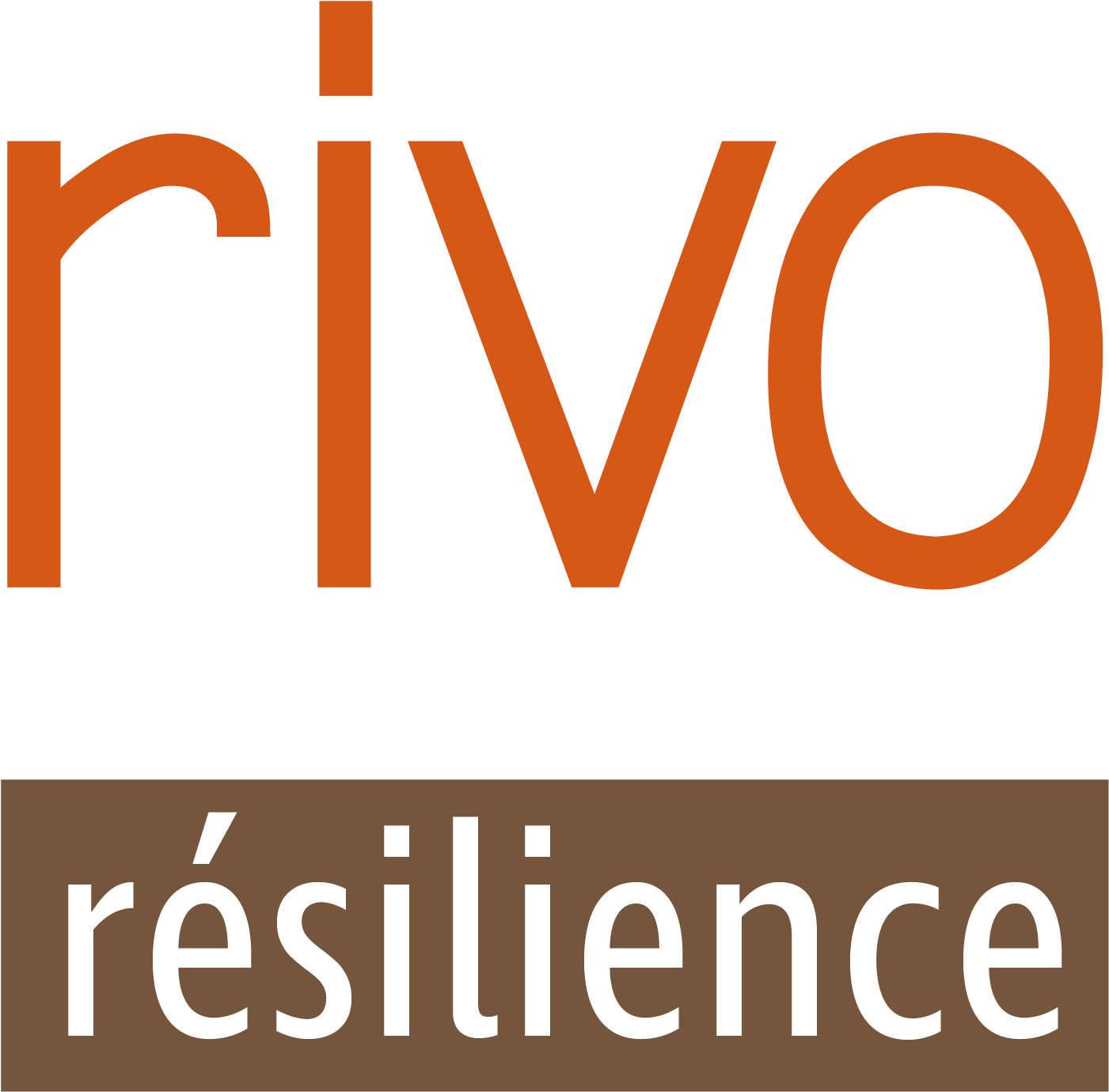 Orange (1479x1479), Png Download