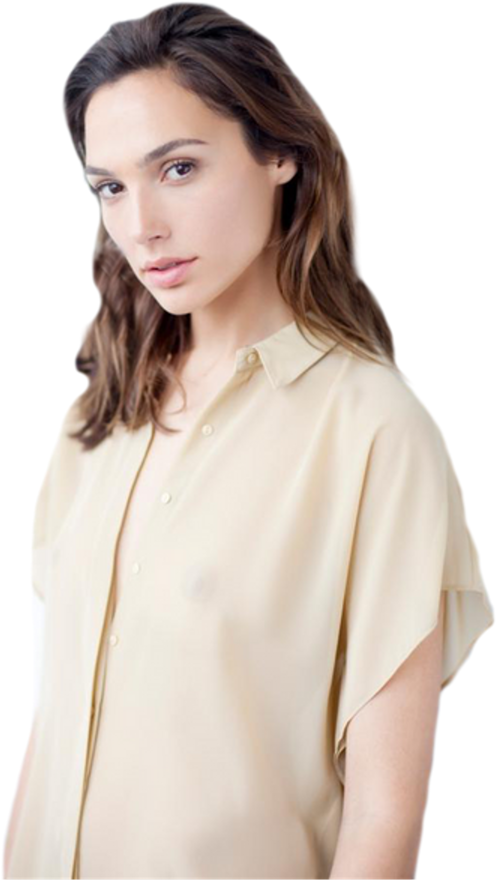 Report Abuse - Gal Gadot Profile (1024x1803), Png Download